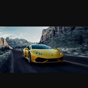 Meet your Posher, Bailey